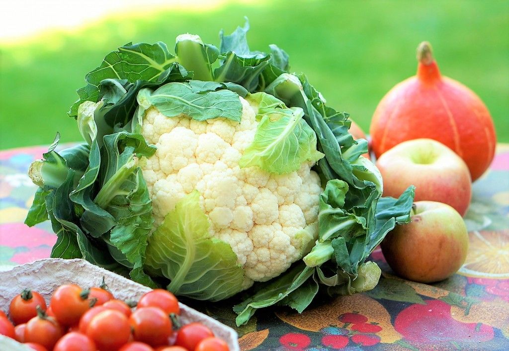 Sezonowe warzywa i owoce – wekujemy i mrozimy!