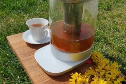Recenzja czajnika elektrycznego z wkładem do herbaty Zwilling Enfinigy